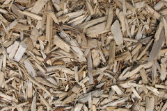 biomass boilers Longcot